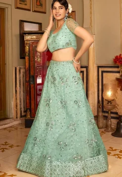 Embroidered Net Lehenga in Light Green