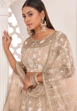 Embroidered Net Lehenga in Beige