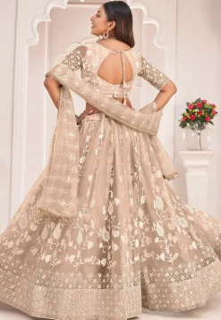 Embroidered Net Lehenga in Beige