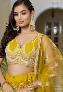 Embroidered Net Lehenga in Mustard