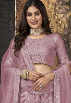 Embroidered Net Lehenga in Dusty Pink