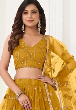 Embroidered Net Lehenga in Mustard