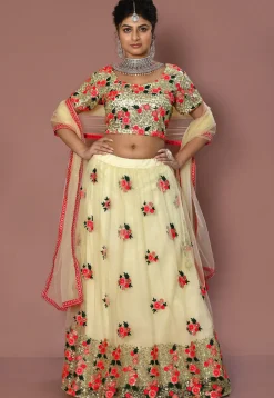 Embroidered Net Lehenga in Cream