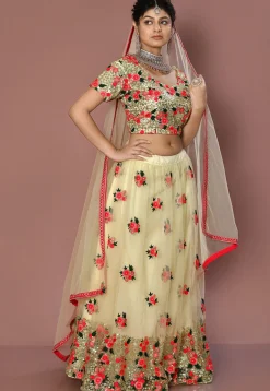 Embroidered Net Lehenga in Cream