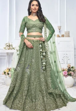 Embroidered Net Lehenga in Green