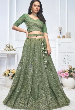 Embroidered Net Lehenga in Green