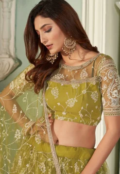 Embroidered Net Lehenga in Olive Green