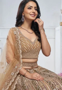 Embroidered Net Lehenga in Multicolor