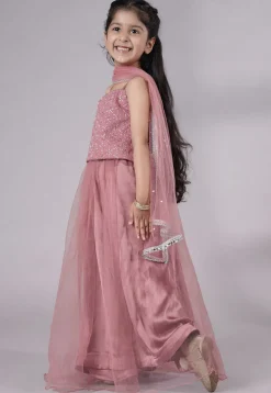 Embroidered Net Lehenga in Old Rose