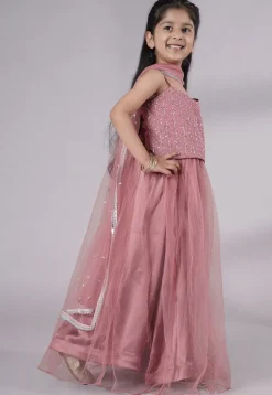 Embroidered Net Lehenga in Old Rose