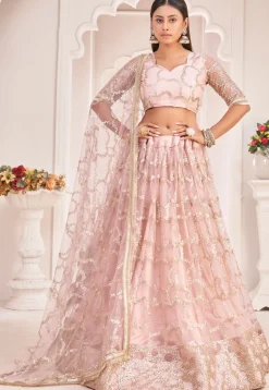 Embroidered Net Lehenga in Pink