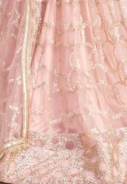 Embroidered Net Lehenga in Pink