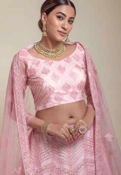 Embroidered Net Lehenga in Pink