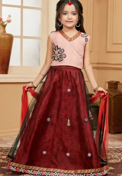 Embroidered Net Lehenga in Maroon and Black