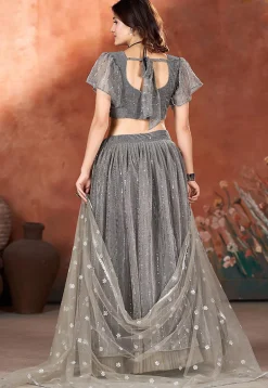 Embroidered Net Lehenga in Grey