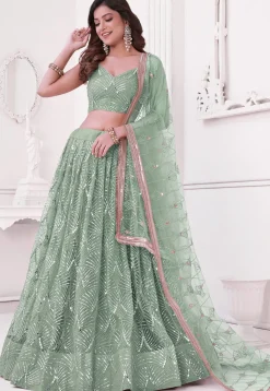 Embroidered Net Lehenga in Dusty Green