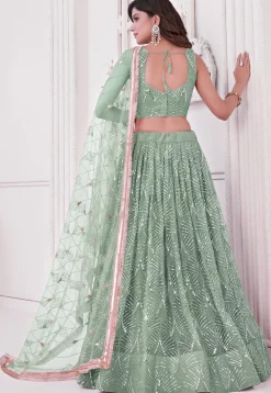 Embroidered Net Lehenga in Dusty Green