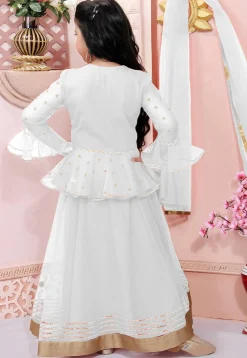 Embroidered Net Lehenga in Off White