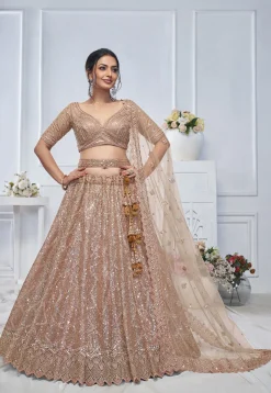 Embroidered Net Lehenga in Light Brown
