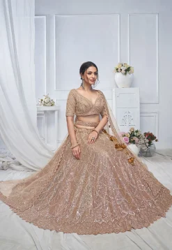 Embroidered Net Lehenga in Light Brown