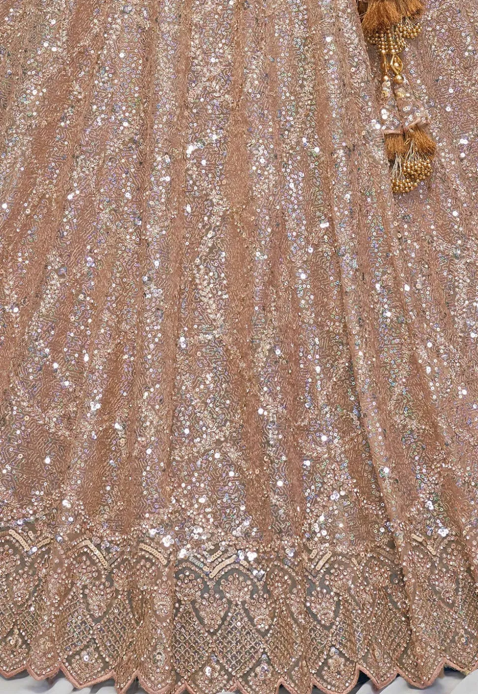 Embroidered Net Lehenga in Light Brown