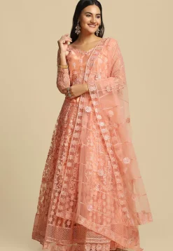 Embroidered Net Lehenga in Peach