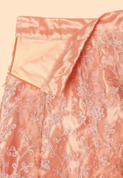 Embroidered Net Lehenga in Peach