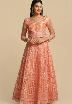 Embroidered Net Lehenga in Peach