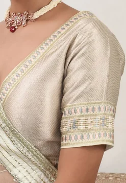 Embroidered Net Lehenga in Light Beige