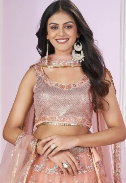 Embroidered Net Lehenga in Pink