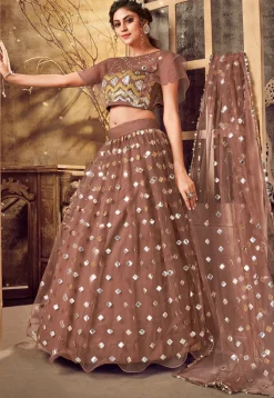 Embroidered Net Lehenga in Brown