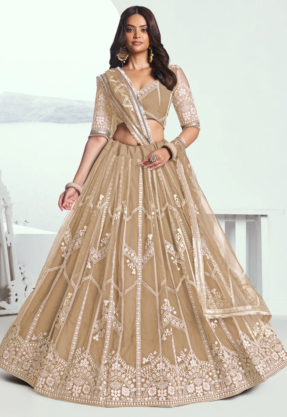Embroidered Net Lehenga in Beige