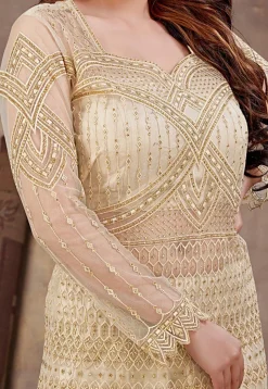 Embroidered Net Lehenga in Cream