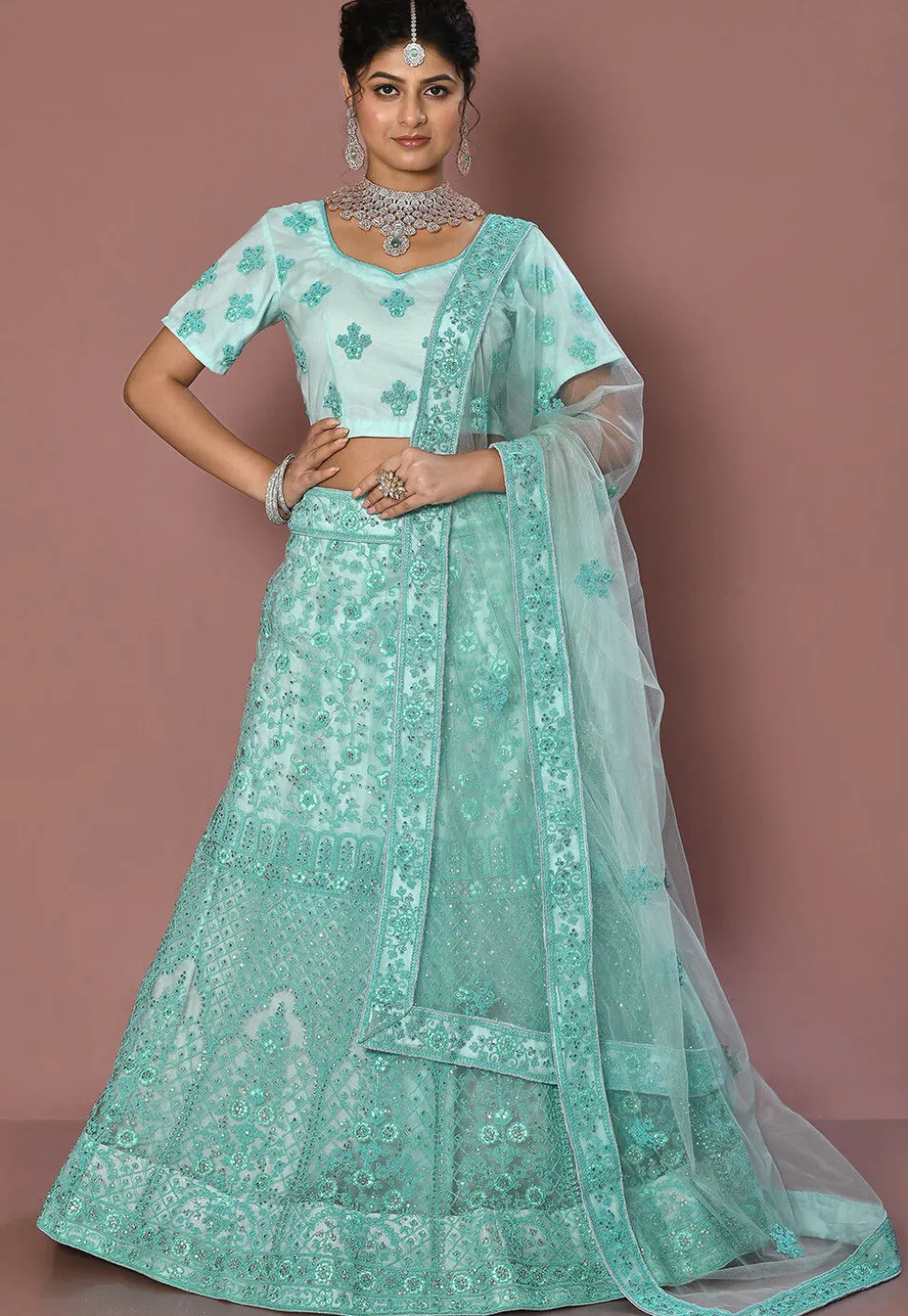 Embroidered Net Lehenga in Light Blue