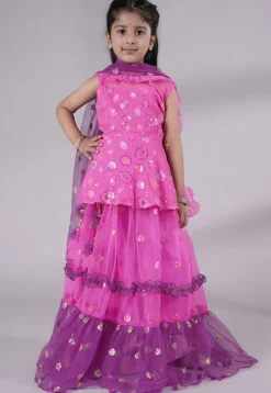 Embroidered Net Lehenga in Fuchsia and Purple