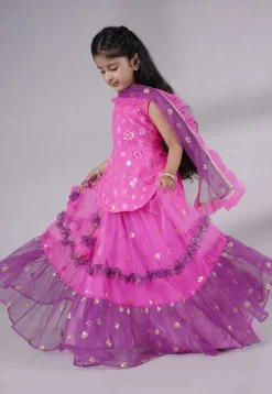 Embroidered Net Lehenga in Fuchsia and Purple