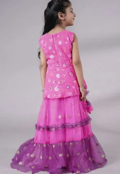 Embroidered Net Lehenga in Fuchsia and Purple