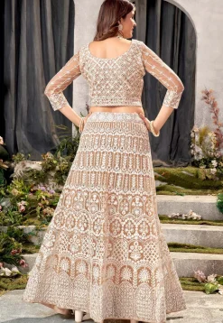 Embroidered Net Lehenga in Beige