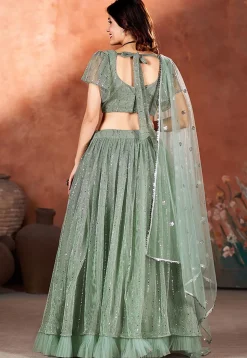 Embroidered Net Lehenga in Dusty Green