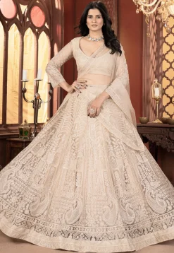 Embroidered Net Lehenga in Light Beige