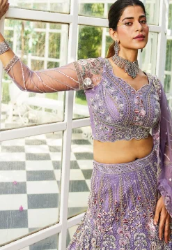 Embroidered Net Lehenga in Purple