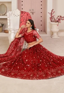Embroidered Net Lehenga in Red