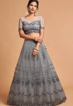 Embroidered Net Lehenga in Grey