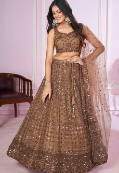 Embroidered Net Lehenga in Brown