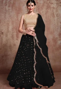 Embroidered Net Lehenga in Black