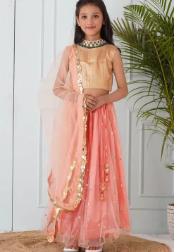 Embroidered Net Lehenga in Peach