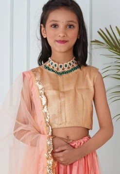 Embroidered Net Lehenga in Peach