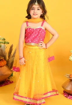 Embroidered Net Lehenga in Yellow