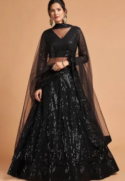 Embroidered Net Lehenga in Black