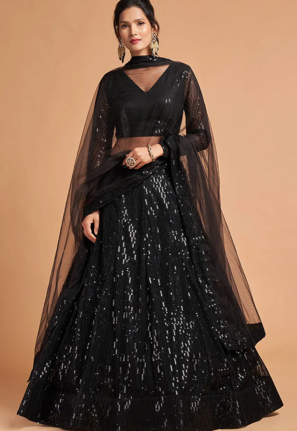 Embroidered Net Lehenga in Black